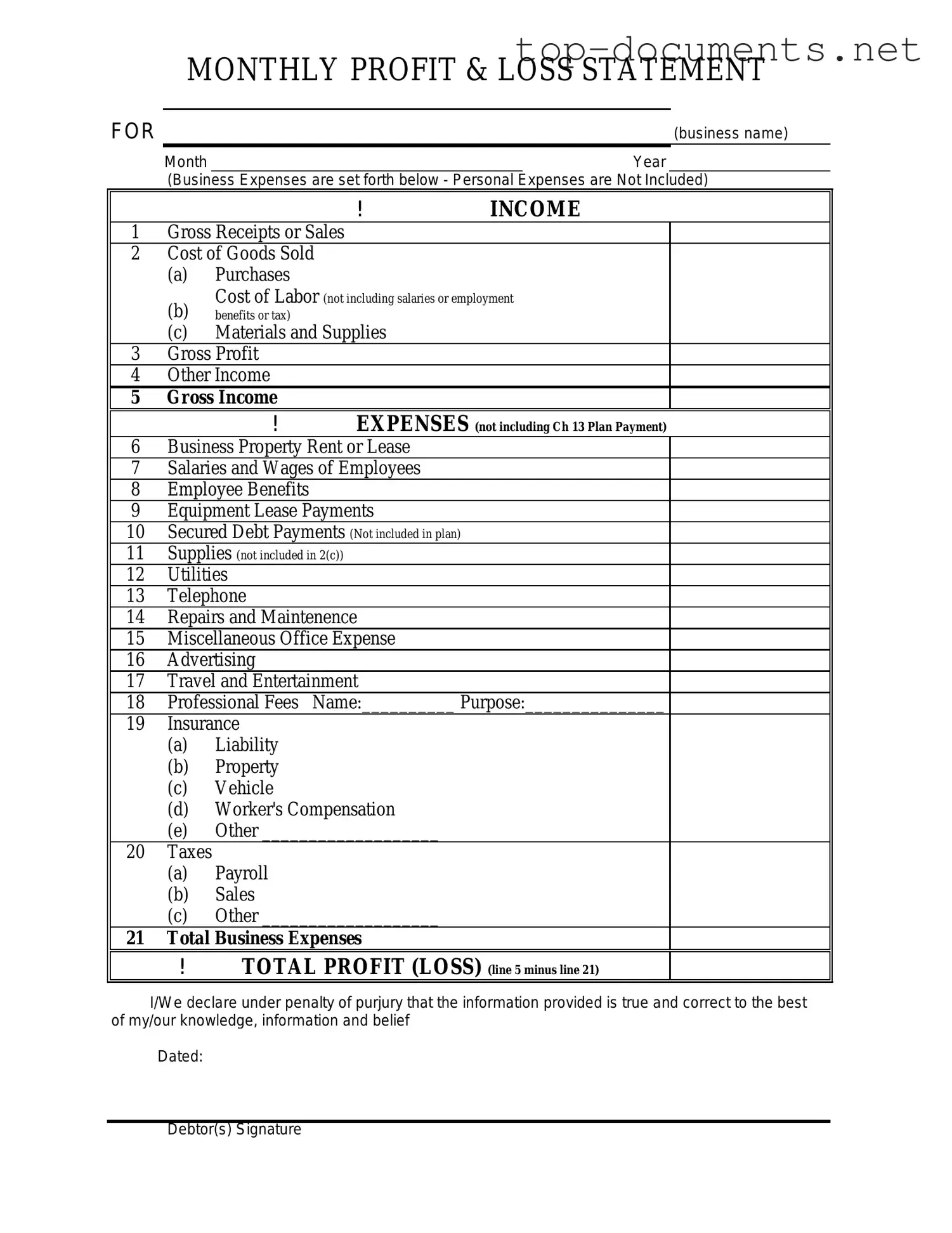 Free Profit And Loss PDF Form