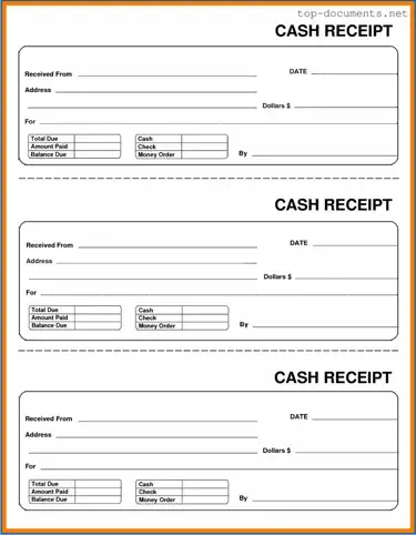 Free Cash Receipt PDF Form