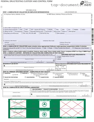 Free Drug Screen PDF Form