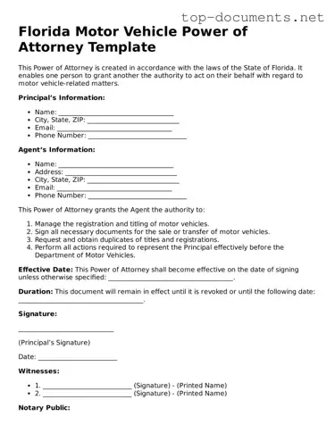Printable Motor Vehicle Power of Attorney Form for the State of Florida