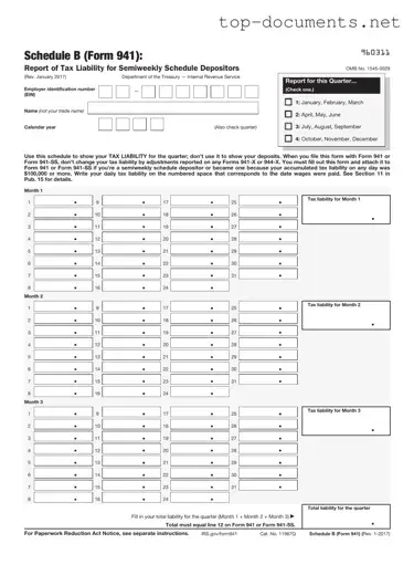 Free IRS Schedule B 941 PDF Form