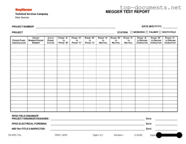 Free Megger Test PDF Form