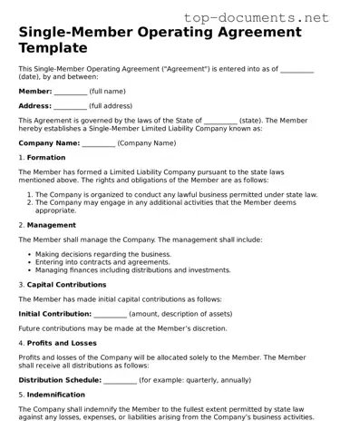 Attorney-Verified Single-Member Operating Agreement Form