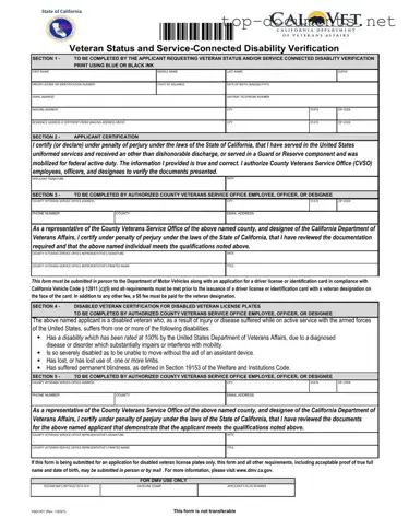 Free Vsd 001 PDF Form